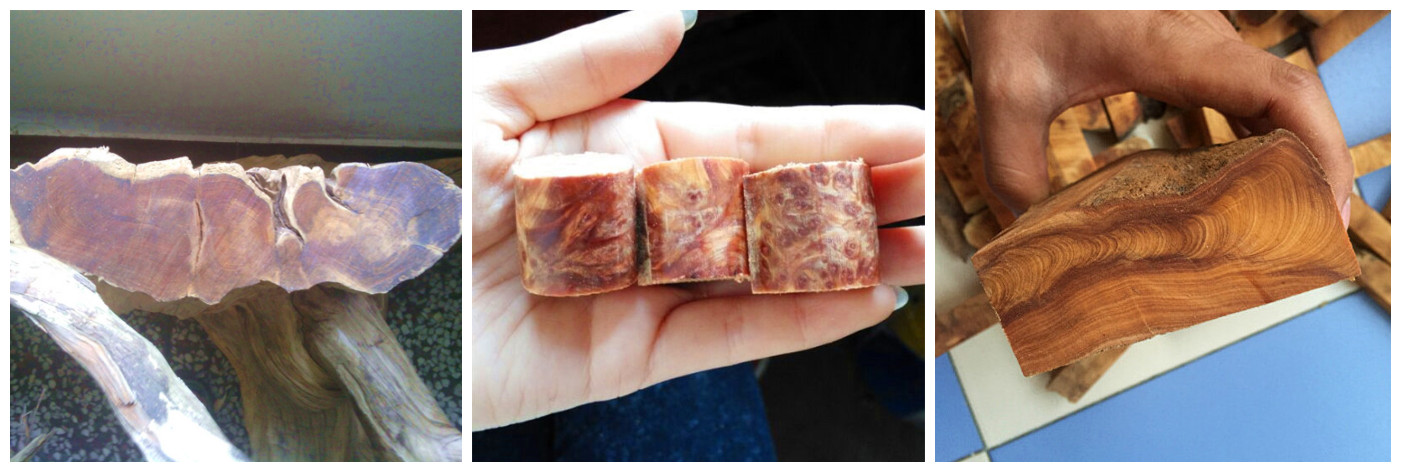 十大外围足球平台app