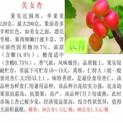 十大外围足球平台app