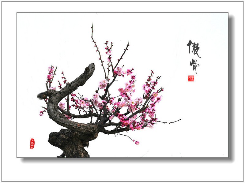 十大外围足球平台app