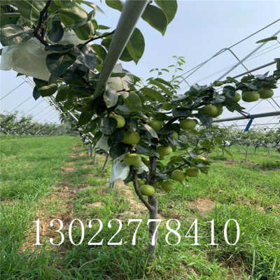 十大外围足球平台app