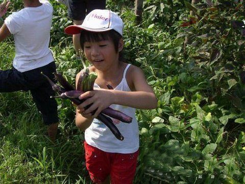 十大外围足球平台app