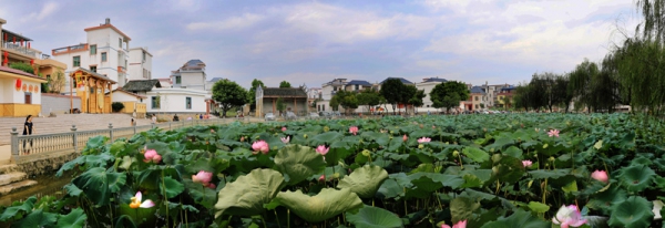 十大外围足球平台app