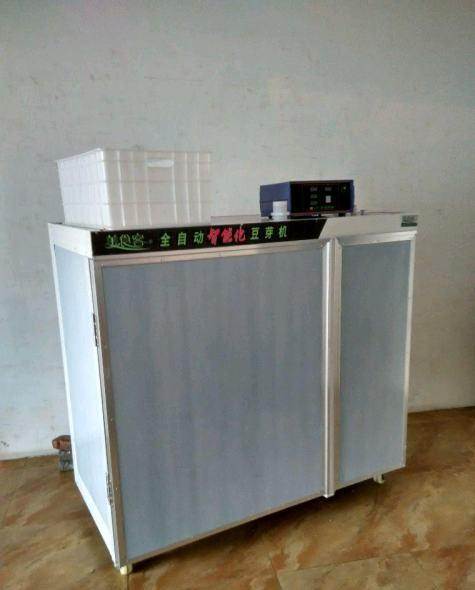 十大外围足球平台app