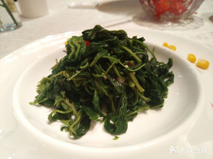 【十大外围足球平台app】新东方教师夏霏:SAT写作三大误区及应对策略(图1) 十大外围足球平台app